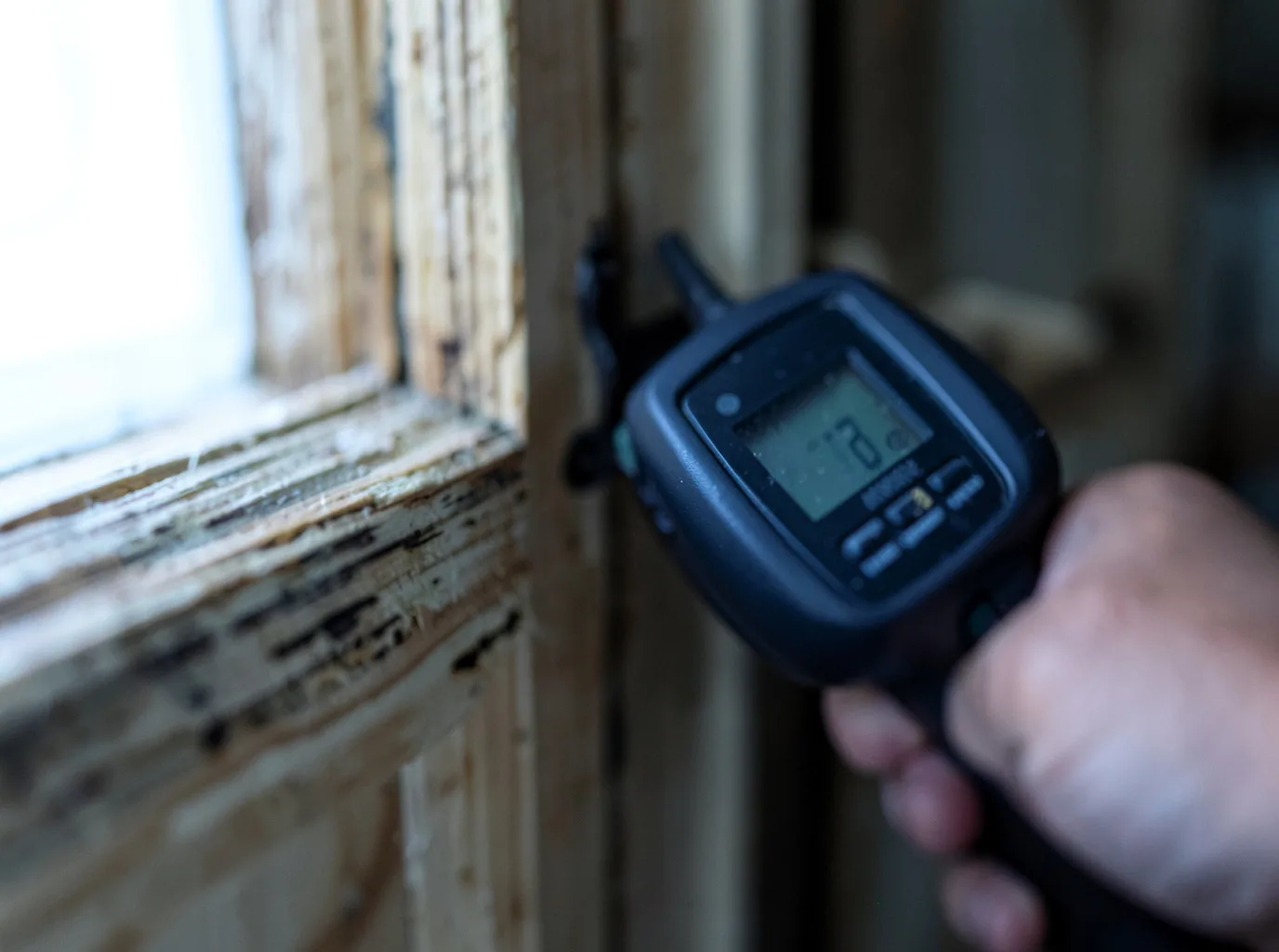 Ceiling Water Damage Repair in Freeport, MN